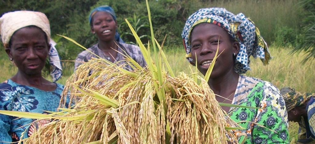 Frauen weltweit stärken: Teilnehmerinnen eines vom Weltgebetstag Deutschland unterstützten Projektes von PEH Benin, © PEH Benin drei Frauen mit Getreide