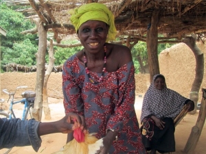 Die Frauen im Süden von Mali werden in Geflügelzucht geschult. © GRID Die Frauen im Süden von Mali werden in Geflügelzucht geschult. © GRID