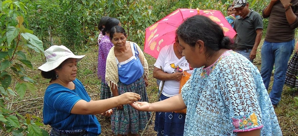 Weltweite Solidarität unter Frauen: Aus einem Partnerprojekt von Weltgebetstag und AFEDES, © AFEDES Weltweite Solidarität unter Frauen: Aus einem Partnerprojekt von Weltgebetstag und AFEDES, © AFEDES